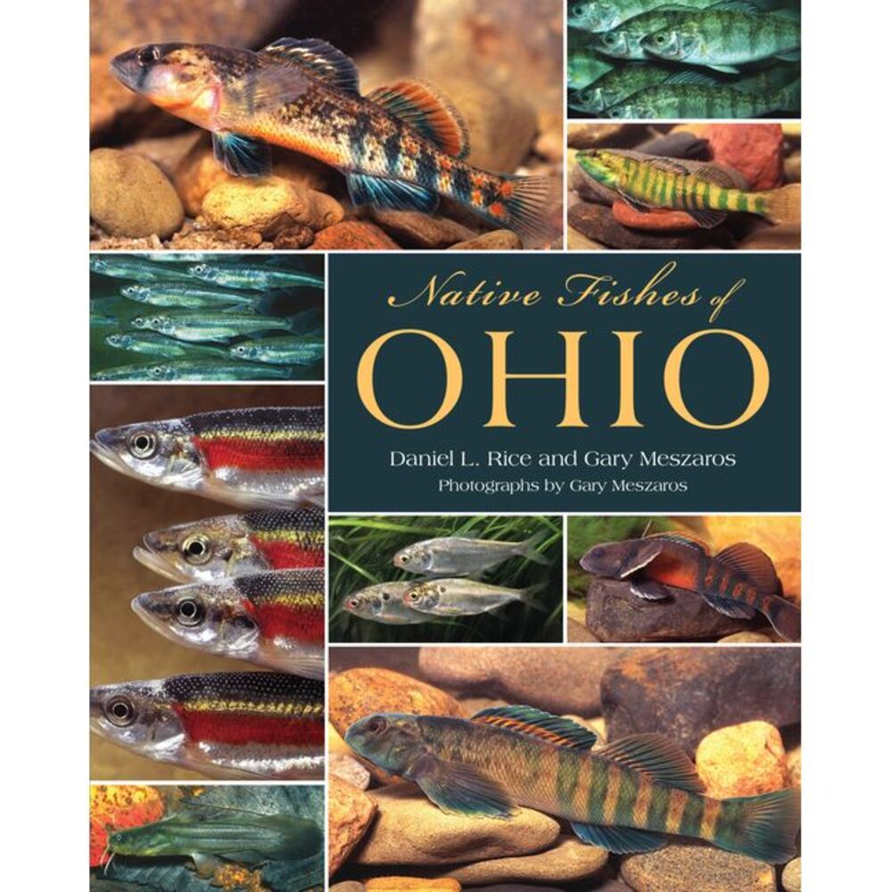 Native Fishes of Ohio -- Rice